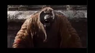 The Jungle Book 2016: Mowgli Vs King Louie | Fight Scenes HD