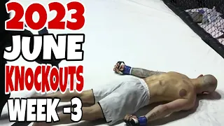 MMA’s Best Knockouts I June 2023 HD Part 3