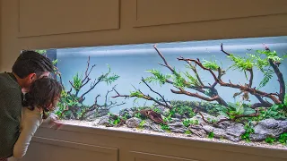 DANIEL'S HIGH TECH AQUASCAPE WILL AMAZE YOU - FULL AQUARIUM PLANT TUTORIAL (4K)