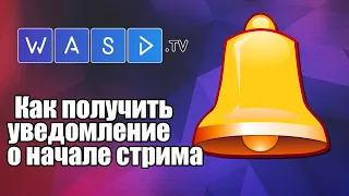 Как получать уведомления о стримах на WASD