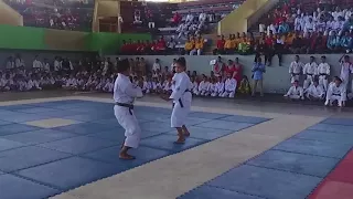 показательное выступление сёриндзи кэмпо Shorinji Kempo