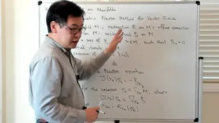 Geometric Newton Method for Vector Fields on Manifolds