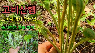 고비 산에나는 소고기 고비를 찾고자하는분 꼭 보세요 #밤양갱