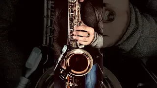 Joy - Touch By Touch (SAX cover by OppositeMus)