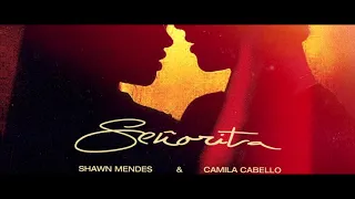 Shawn Mendes, Camila Cabello - Señorita (METAL COVER)