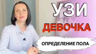 Фото узи девочки на 1,2 и 3 скрининге💐