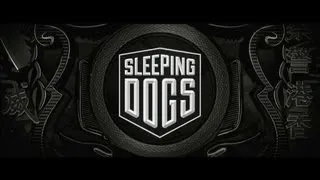 Обзор игры Sleeping Dogs