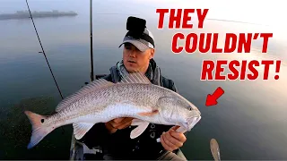 Big Catches in Boat Hole - Corpus Christi TX