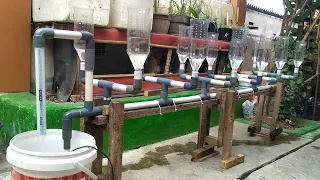How to build  Ebb & Flow (Flood & Drain) hydroponic System for watermelon