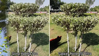 Sony Xperia Pro Vs Samsung Galaxy Note 20 Ultra | Prueba de Cámara | Camera Test Comparison