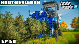 HARVESTING OLIVES FOR THE FIRST TIME | Farming Simulator 22 - Haut-Beyleron | Episode 50