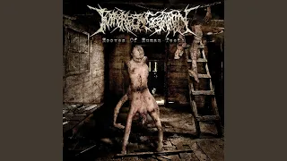 Pissing Entrails (Promo2008)