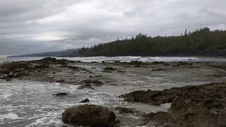 Botanical beach, Port Renfrew, BC. February18th - Slow pan