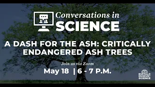 Conversations in Science: Dash for the Ash - Critically Endangered Ash Trees