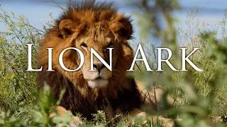 LION ARK Trailer