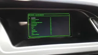 Audi A4 B8 - How to enable and access the hidden green service menu