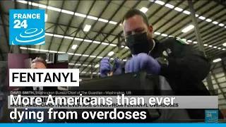 Drug crisis in the US: More Americans than ever dying from fentanyl overdoses • FRANCE 24 English