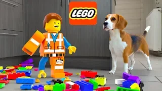 Funny Dogs vs LEGO Emmet in Real Life Animation Prank!