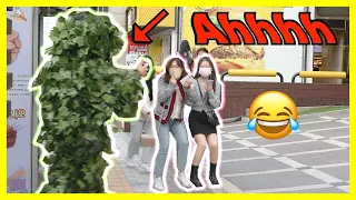 Bushman prank in Seoul Korea 🇰🇷🇰🇷🇰🇷🇰🇷