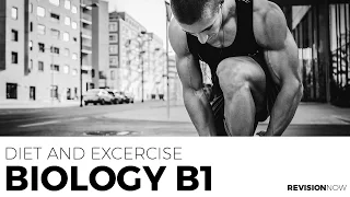 AQA GCSE Biology - Diet and Exercise