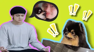 Yeontan and Taehyung || Pt.2