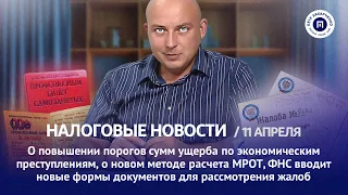 Новые штрафы, документы при подаче жалобы, пороги сумм ущерба. Налоговые новости с Петром Захарченко