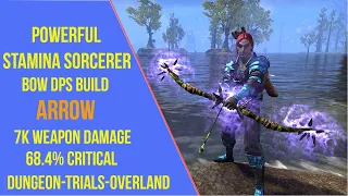 Powerful Stamina Sorcerer Bow DPS Build for ESO - Arrow - Scions of Ithelia/Update 41