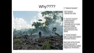 [LiTa 2019] Bolsonaro is an environmental catastroph!