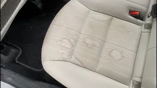 cleaning car interior with the karcher puzzi 8/1