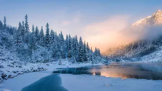 Relaxing music with beautiful winter nature. Soothing music for the nervous system in cold winter