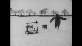 Kørsel med grønlandske hunde (1897) Elfelt