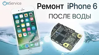 iPhone 6 после воды, восстановление iPhone после воды. iPhone Water damage Repair