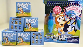 Bluey Mashems Toy Unboxing 6 Surprises & Imagine Ink Coloring ASMR Disney Junior