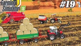 FS 18 COW FARM. Timelapse # 19. Baling and collecting straw. Selling wheat.