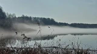 В туманное утро