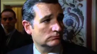 Сенатор из Техаса Тед Круз разочаровал своих республиканских коллег