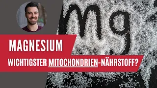 Magnesiummangel in den Mitochondrien? 👉🏼 das ist die Folge 🤭