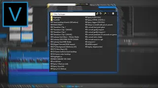 How To Get PLUG-IN MANAGER On The Main Screen || Drag Presets Easily! || Vegas Pro