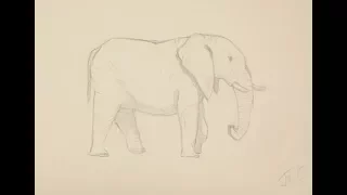 Как нарисовать слона поэтапно простым карандашом начинающие