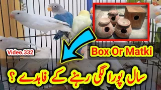 lovebirds k boxes or matki Pora Saal Lagi Rehne k faiyede #lovebirds