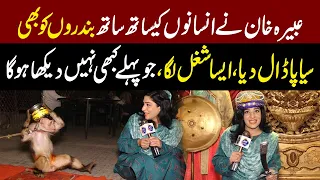 Abeera Khan Nay Bandar ko Bhi Sayapa Daal Diya | Sayapa With Abeera Khan | Lahore Rang