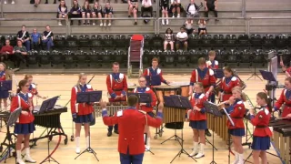 Danehofgardens Tambourkorps DM 2017