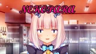 NEKOPARA vol.1 // Похотливый тестомес #8.