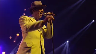 I'm a Wonderful Thing - Kid Creole & The Coconuts - Live in  Marciac 2018