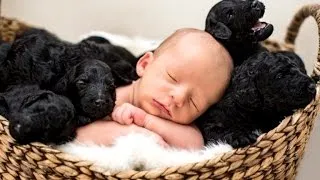 Mom Gives Birth to Baby While Her Dog Delivered 9 Puppies on Same Day