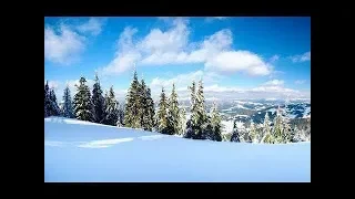 Winter Relaxation Video   Probiy Waterfall, the Carpathian Mountains, Ukraine   2 HRS