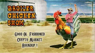 Crypto & Stock Trading Community Show - 05.05.2024 - The Broiler Chickens Show