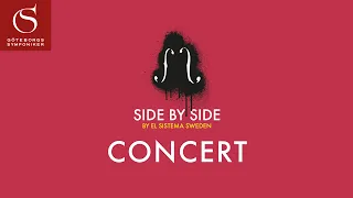 Side by Side Festival Concert