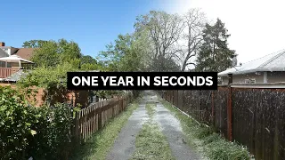 One Year in Seconds l Watch this alley transform over the seasons