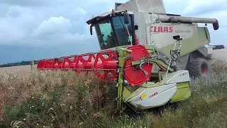 Комбайн CLAAS LEXION 580 V900 на уборке рапса